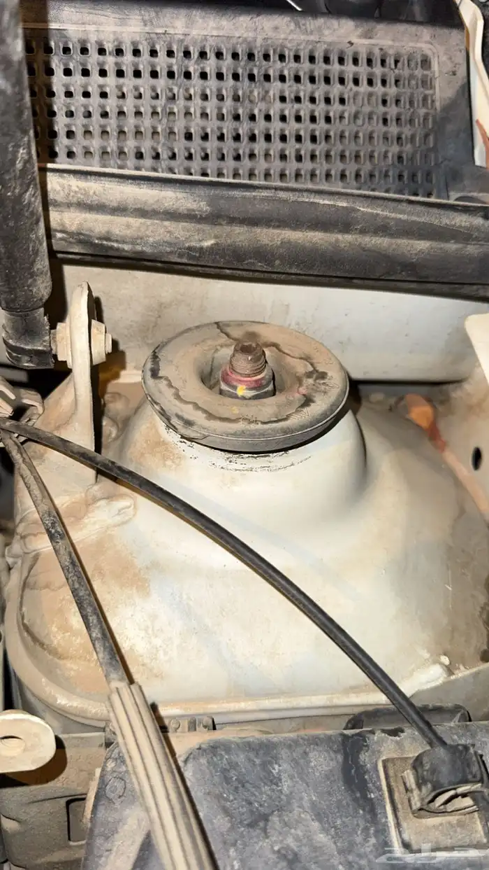 رينو سيمبول 2020 20