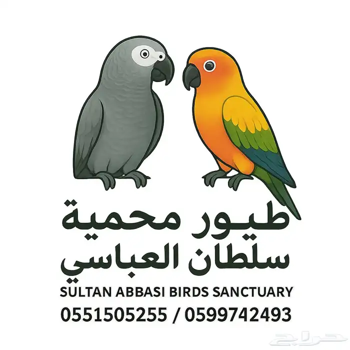 ذكر كنيور اناناس رد فاكتور منتج 0