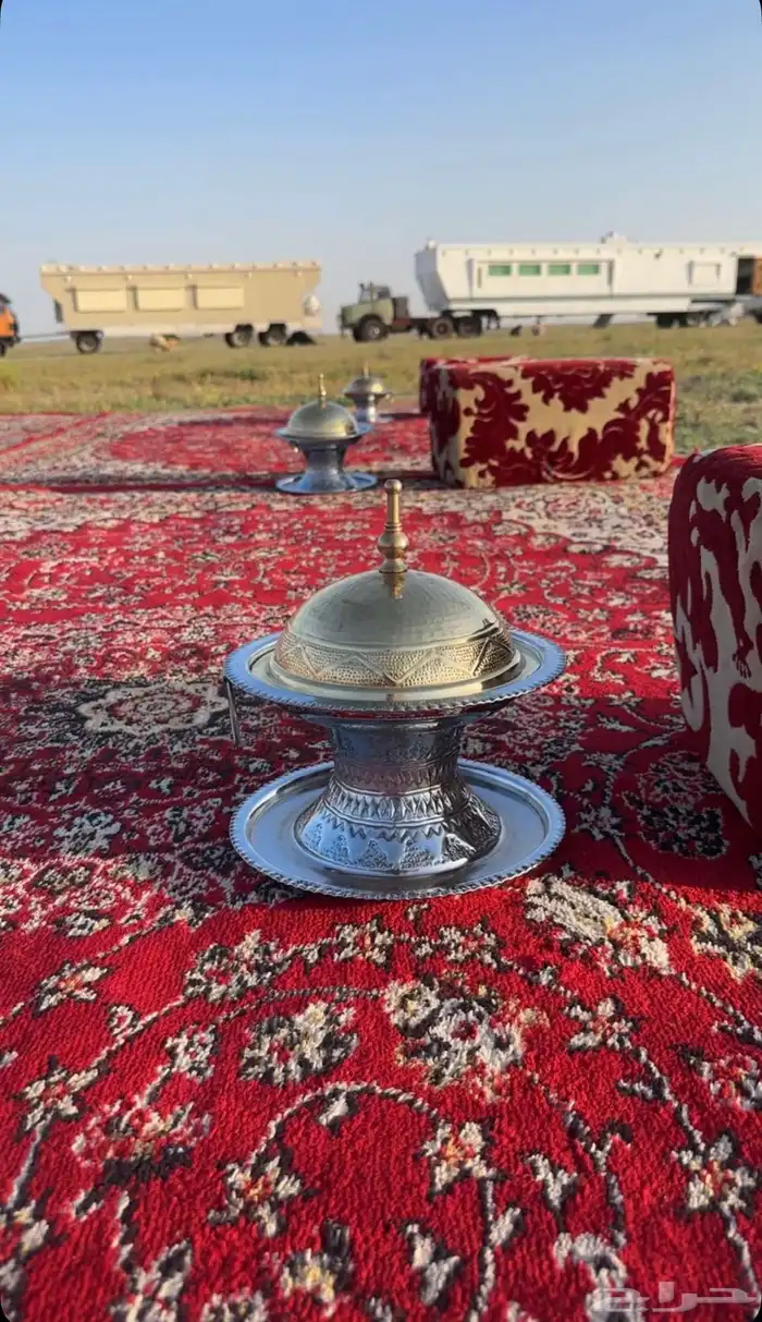 مطلوب ناقه حايل 0