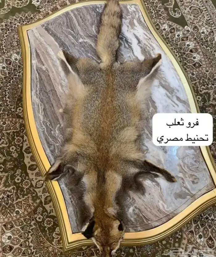 تحف خشب يدويه مصري ودمشقي وايراني مطعم بالصدف والنحاس انتيك 20