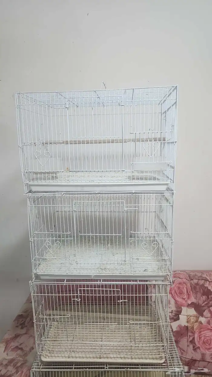 اقفاص 601 للبيع 0