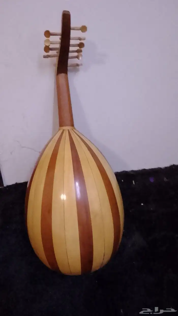 سجل عود مصري كاميرا  كاميرا تصوير 9