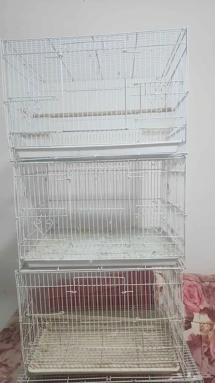 اقفاص 601 للبيع 1