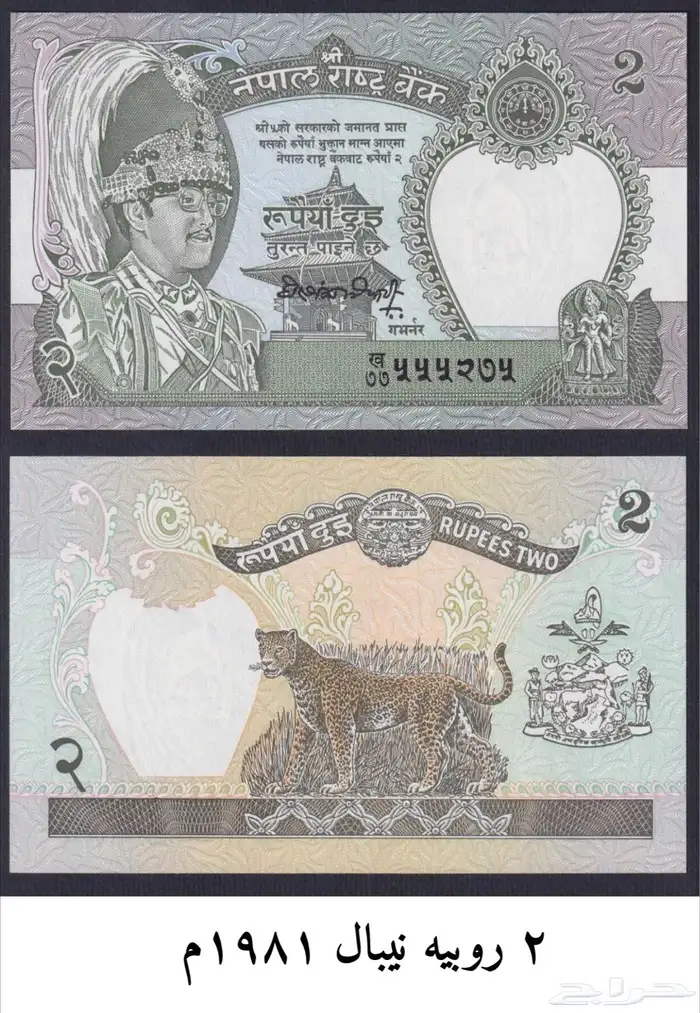 عملة الحبه 3 ريال 24