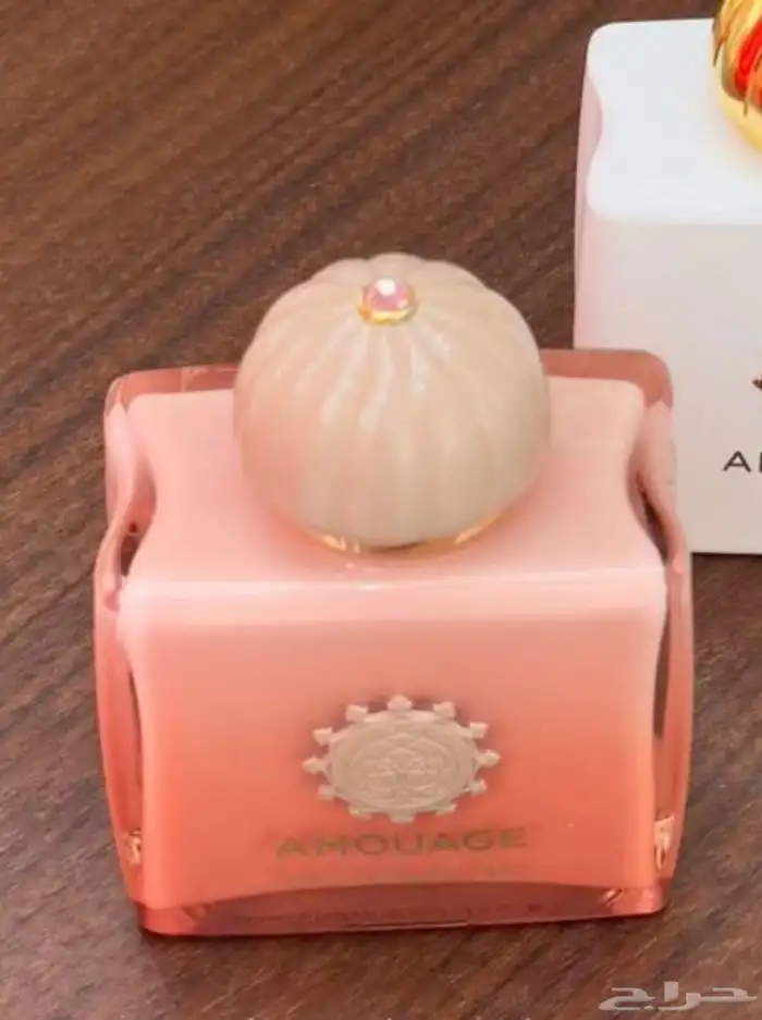 اي عطرمن عطورك المفضله اوفر لك بسعرجمله ارسلي ومايصير خاطرك 42