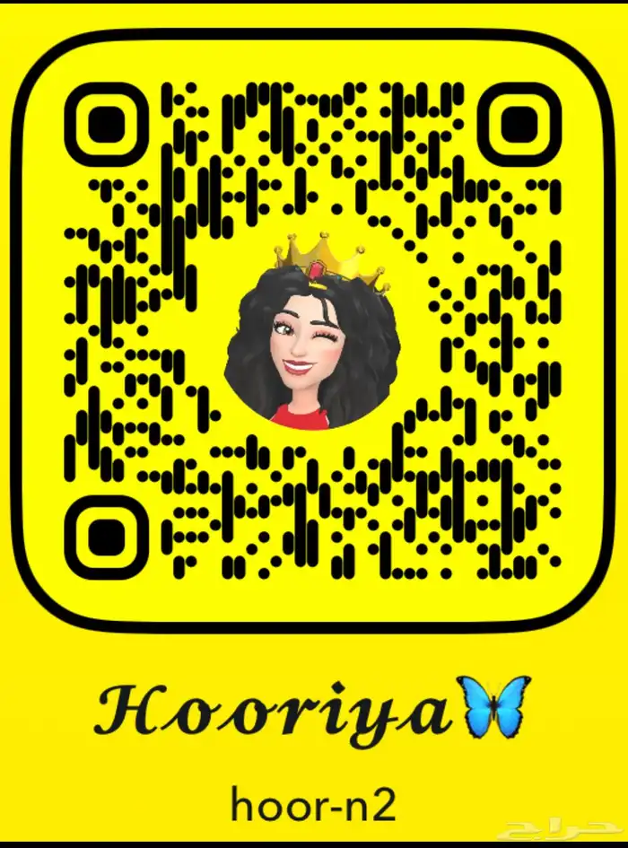 للبيع ببغاء الدرة كحول 4