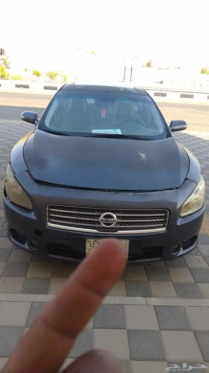 نيسان ماكسيما 2010 فل كامل 11