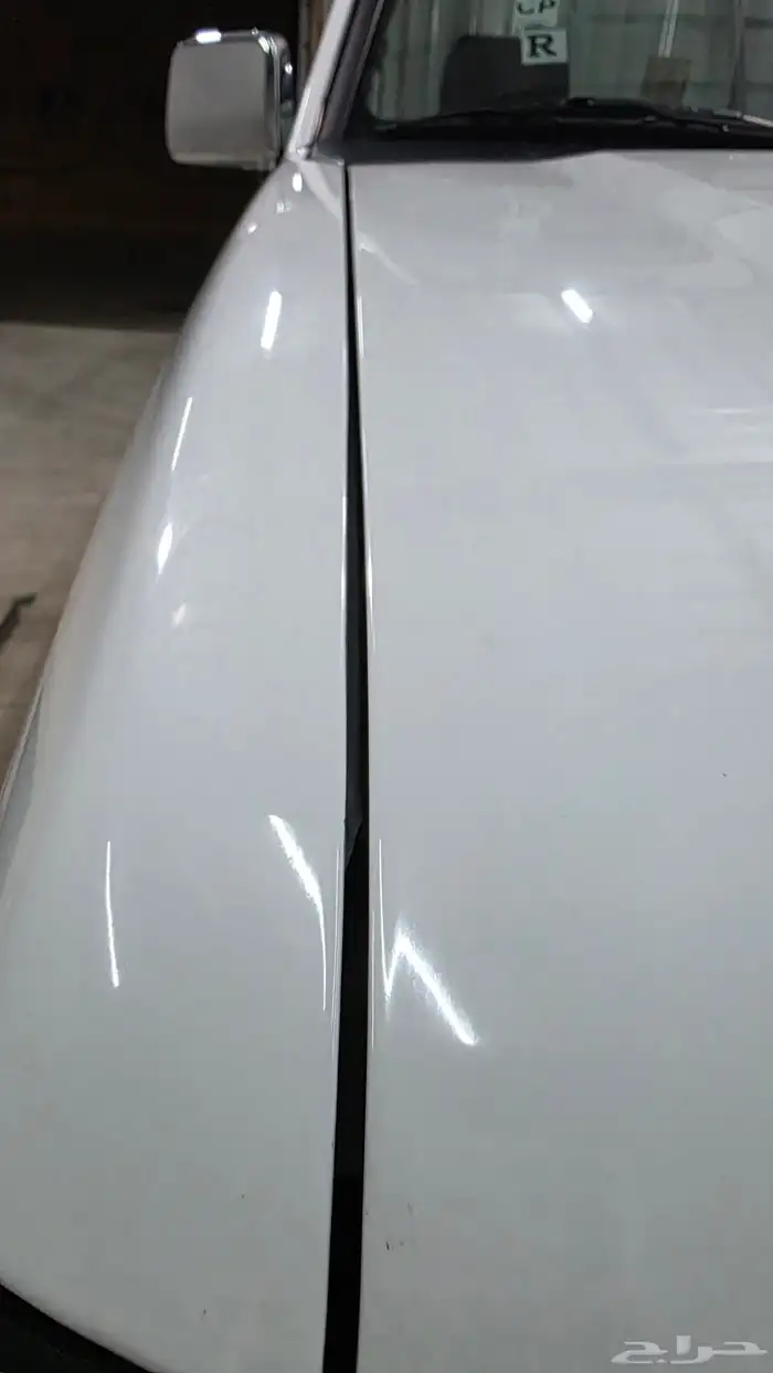 ددسن 15 وكاله 13