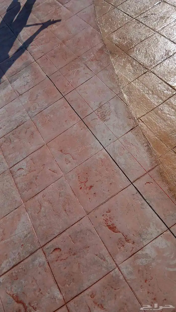 صبة مطبوعة صبة ديكورات حديقة 5