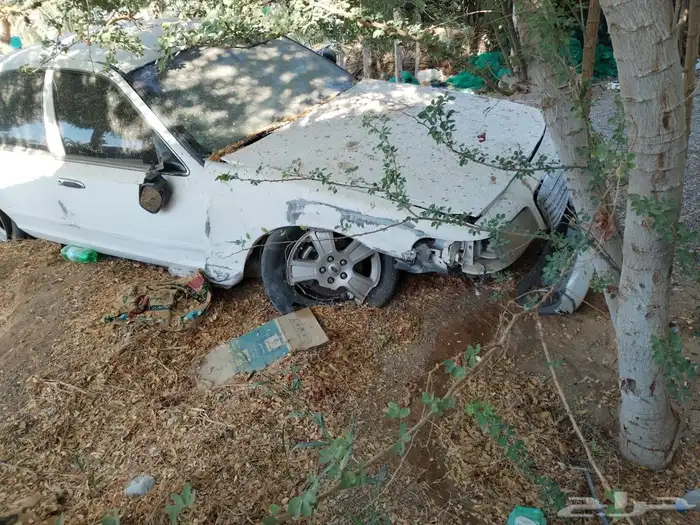 فورد فكتوريا 2004 1