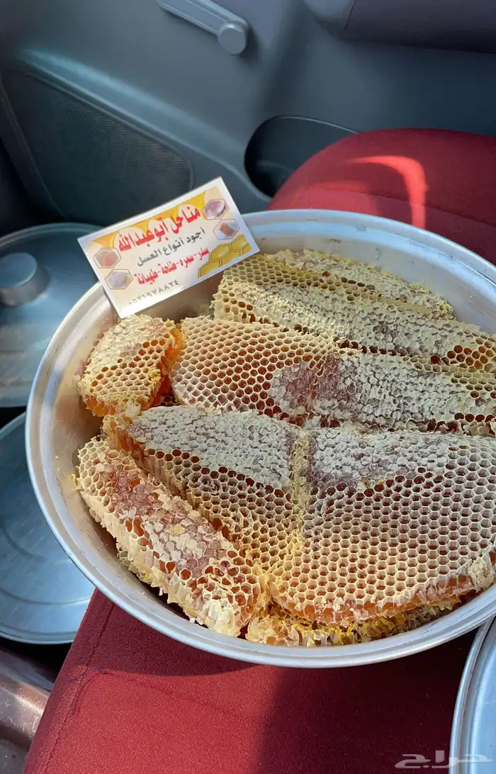 مناحل ابو عبدالله 2