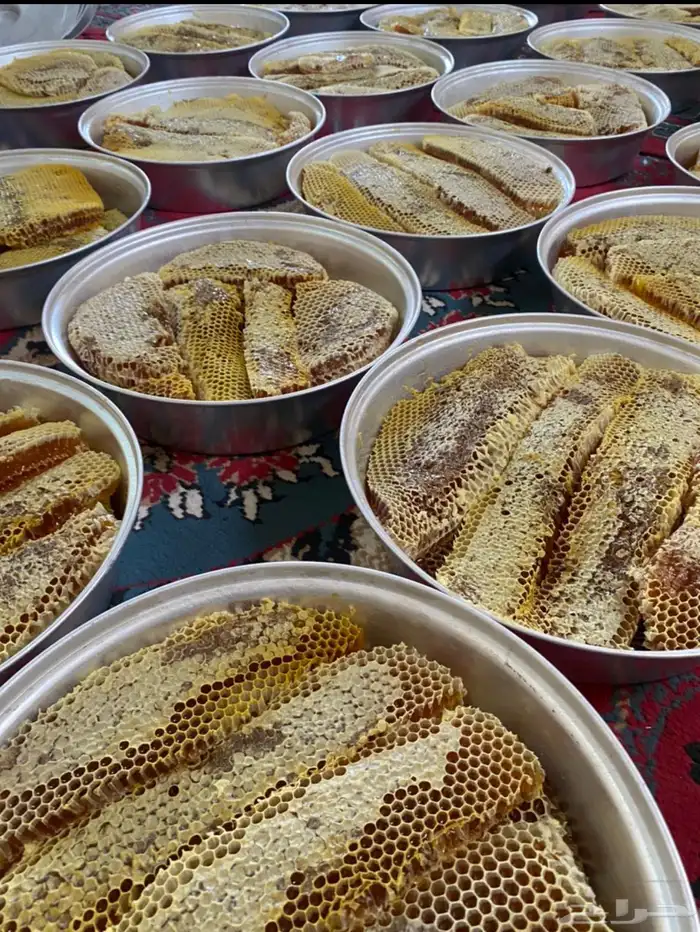 مناحل ابو عبدالله 5