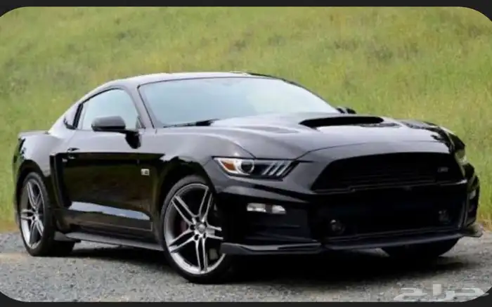 ابحث عن موستنق 2015 0