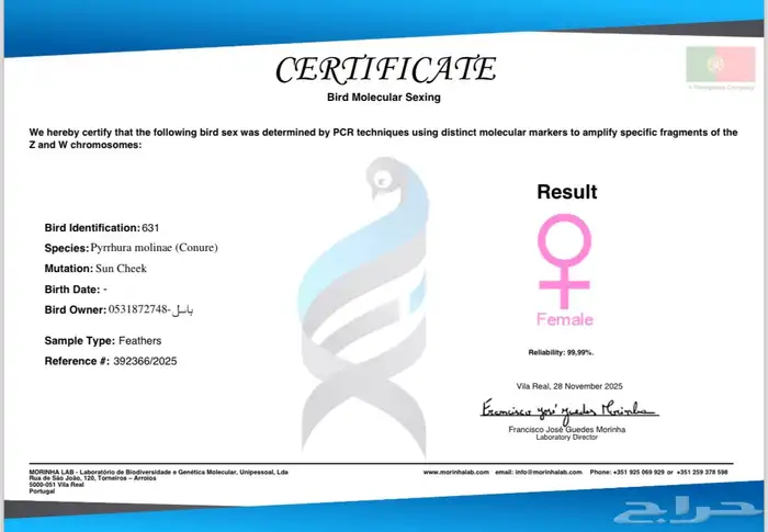 انثى كنيور صن شيك اليف وهدد محللة بشهادة 5