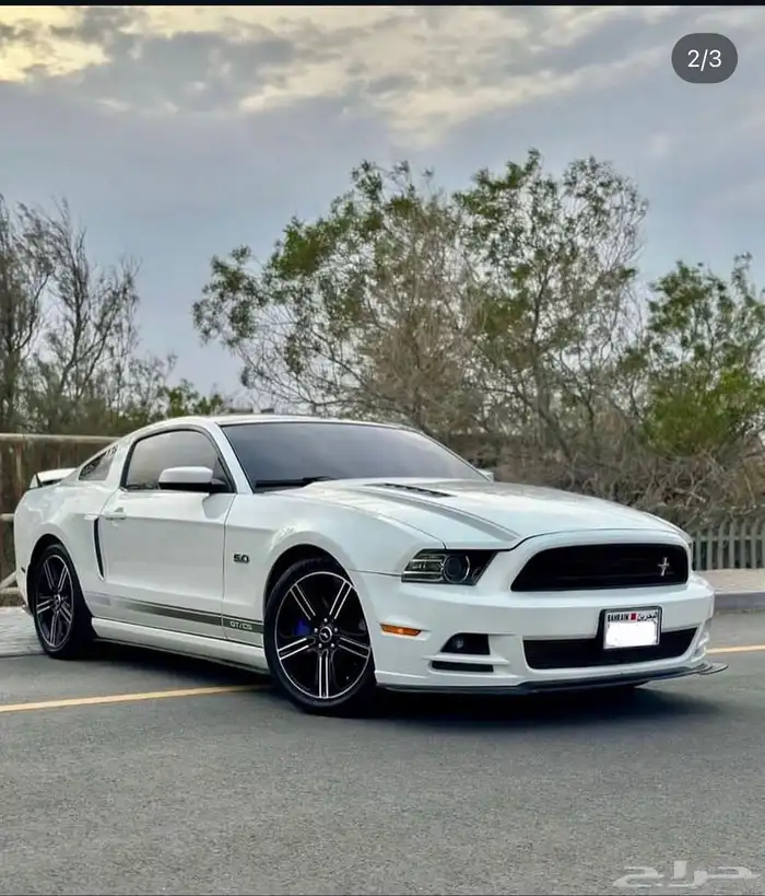 خطوط موستنق سبشل كالفورنيا 6