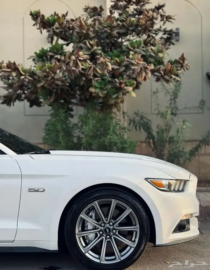 موستنج GT قير عادي 2015 ممشى قليل 8