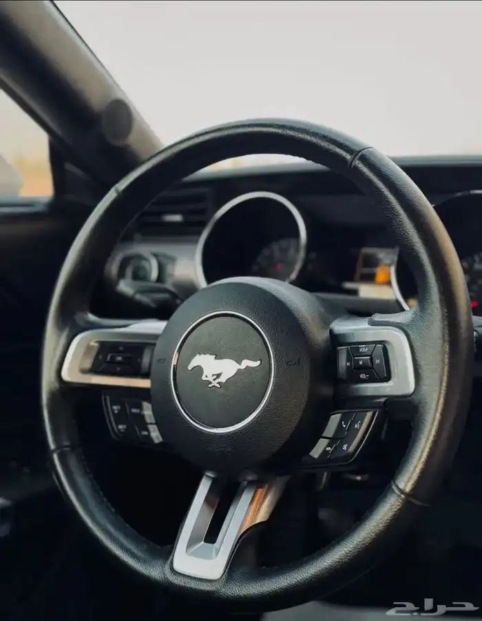 موستنج GT قير عادي 2015 ممشى قليل 7