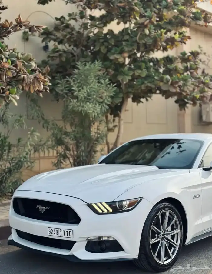 موستنج GT قير عادي 2015 ممشى قليل 10