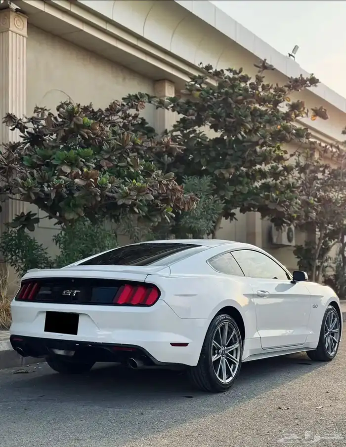 موستنج GT قير عادي 2015 ممشى قليل 6