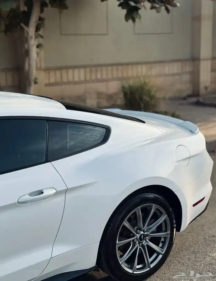 موستنج GT قير عادي 2015 ممشى قليل 9