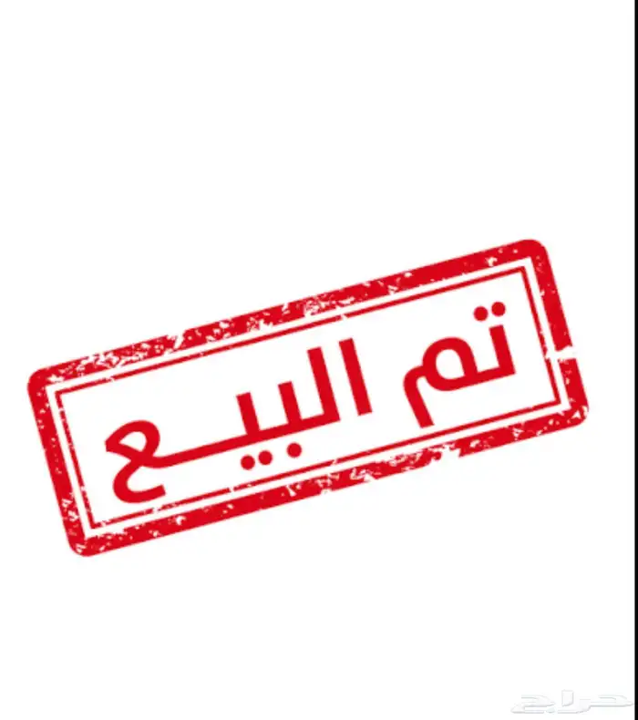 طيور بادجي تم البيع 2