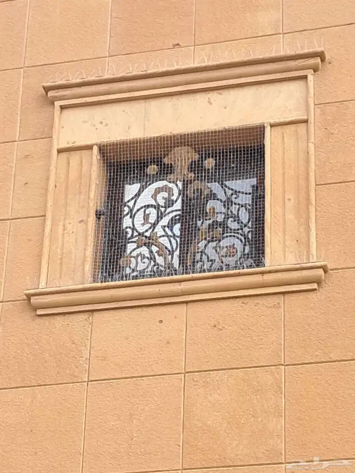 افضل شركة لطرد ومن قطط حمام مع الخصم عند التواصل 3