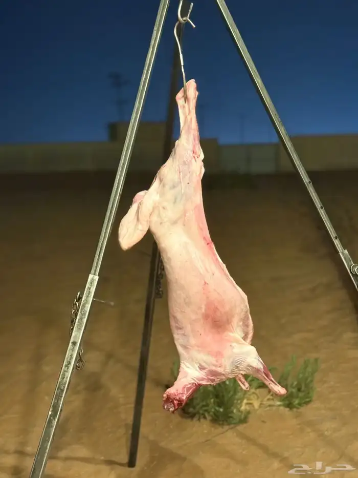 معلم مشويات شوي خارجي 0