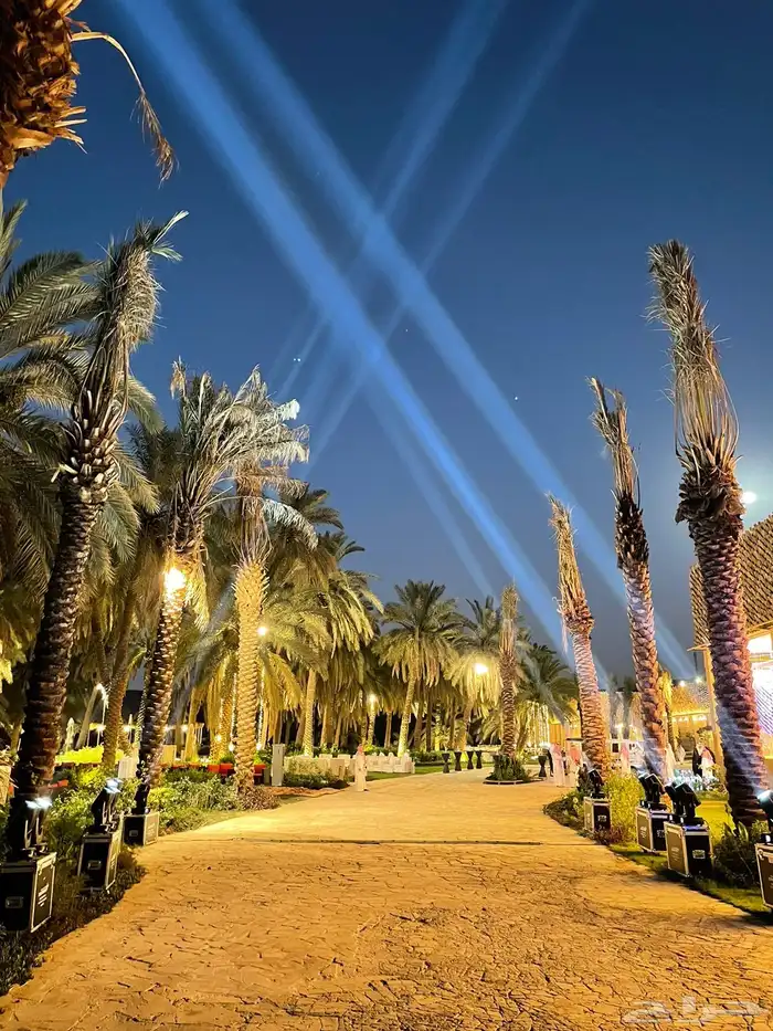 شاشات عملاقه مسارح اضاءات جميع الصوتيات 3