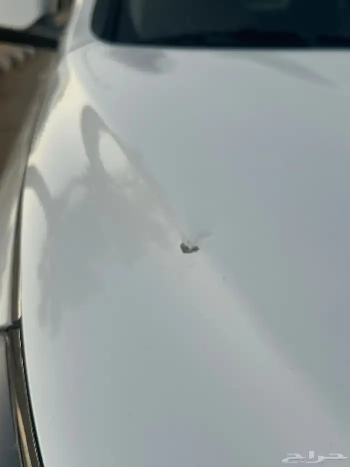 سوناتا 2018 11