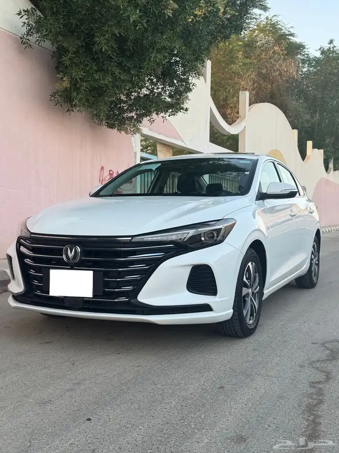 شانجان ايدو شبه جديد مخزن وكاله 5