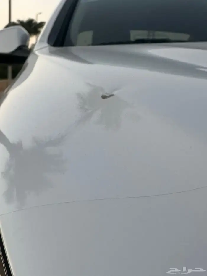 سوناتا 2018 13