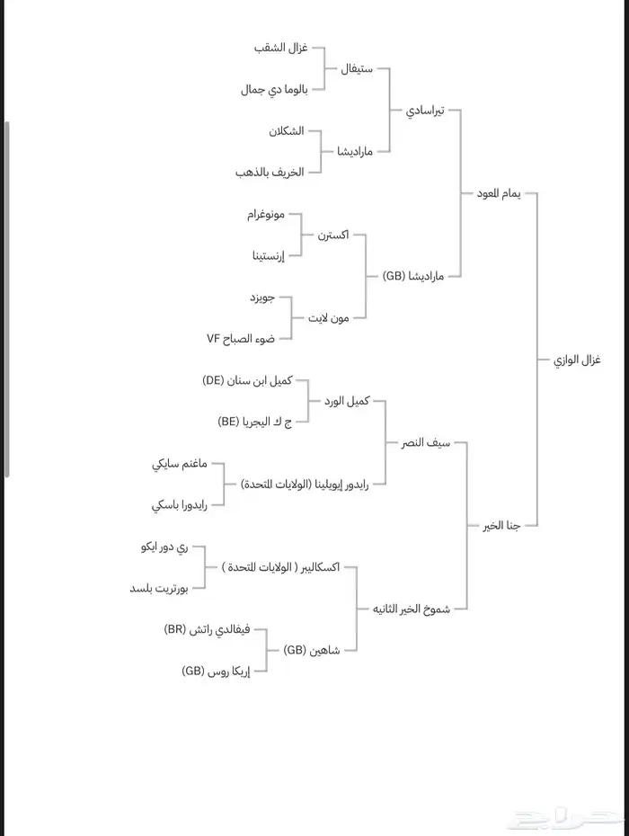 حصان واهو نسب قوي 5