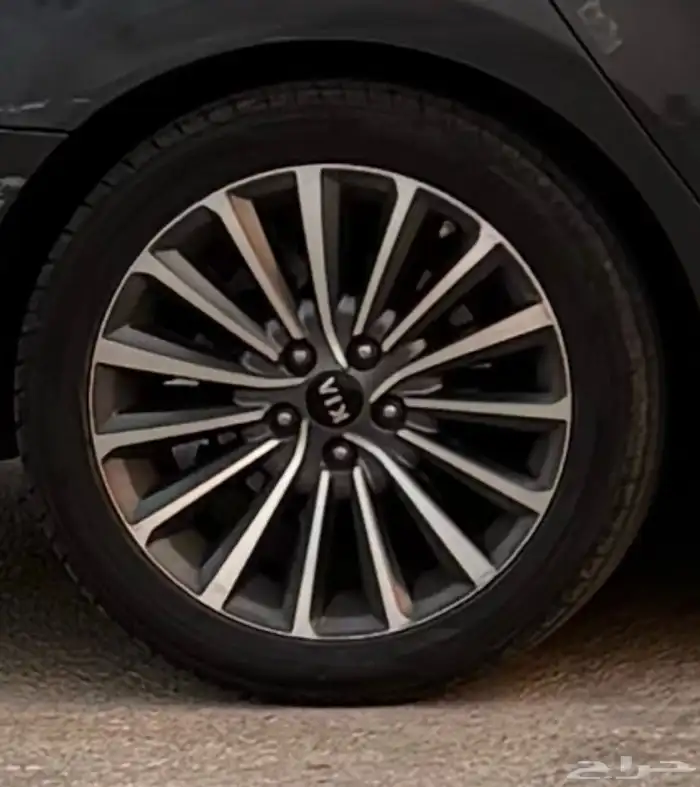 جنوط كادينزا 2017 2