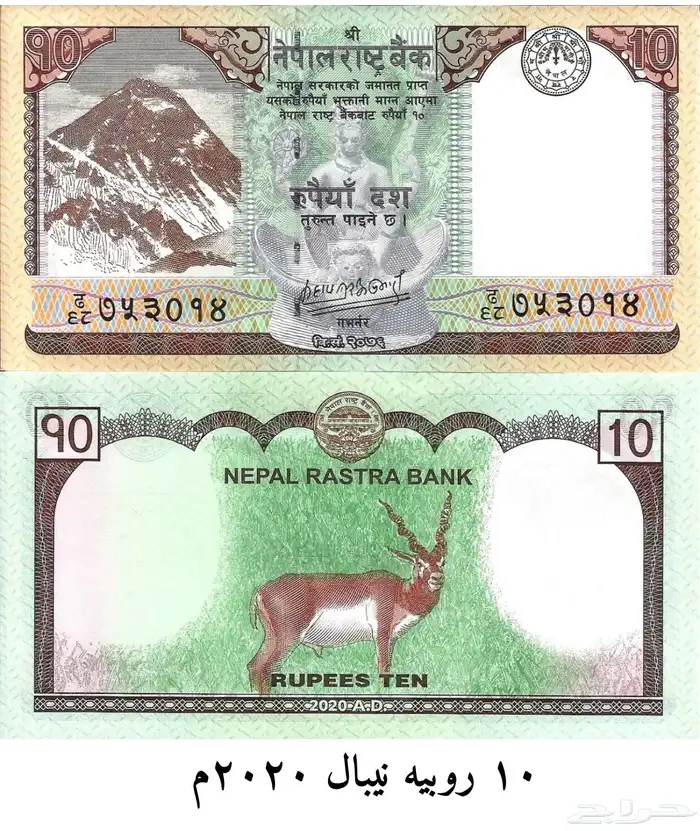 عملة الحبه 3 ريال 26