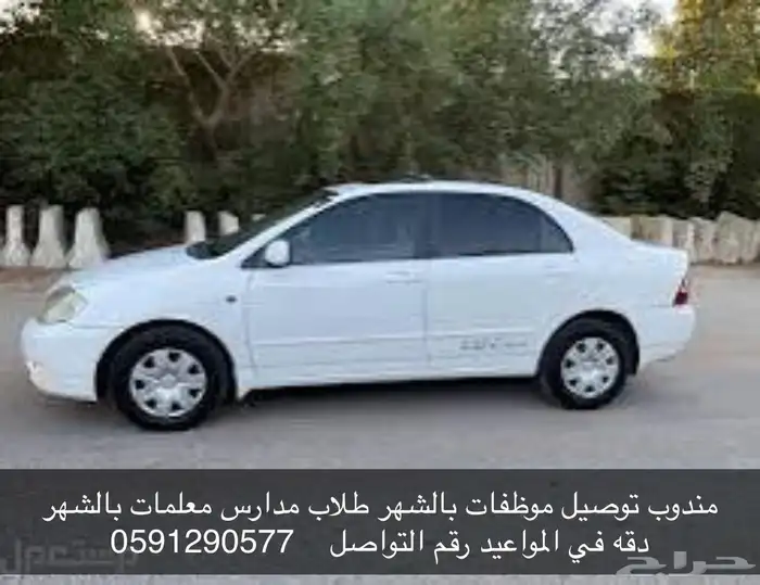 مندوب توصيل شهري 0