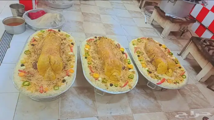 استعداد تام للحفلات مزاين الابل 2