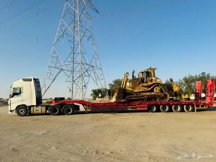 ضباء شرمه تبوك جبل الوز 4