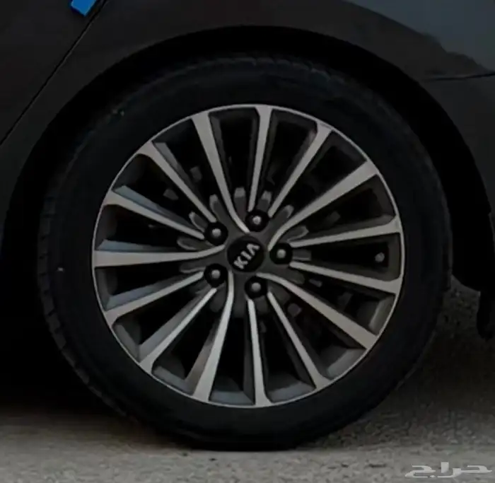 جنوط كادينزا 2017 3