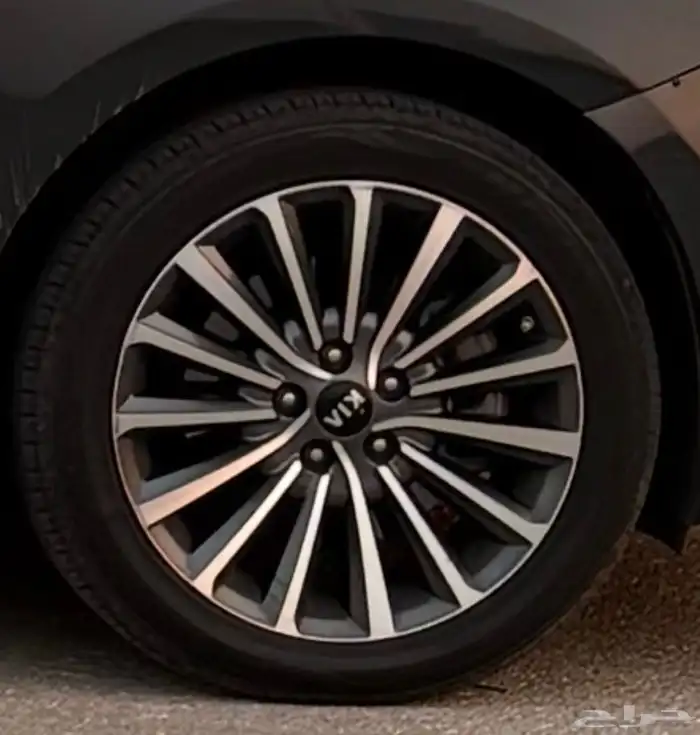 جنوط كادينزا 2017 1