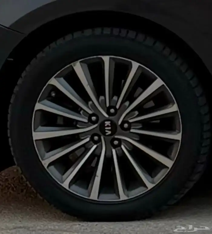 جنوط كادينزا 2017 0