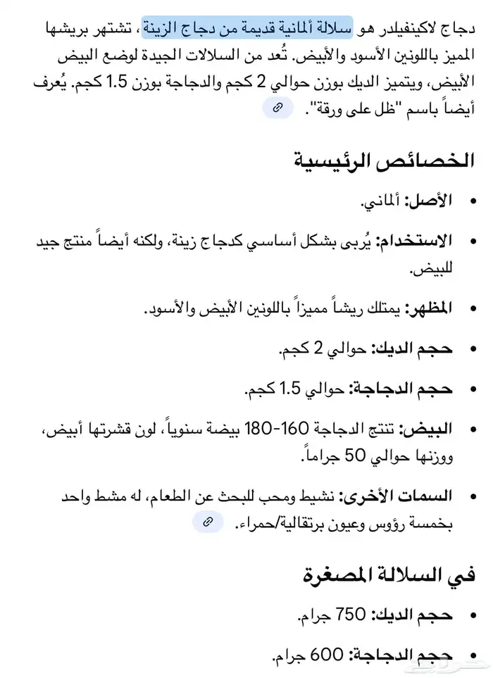 للبيع طقم دجاج لاكنفلدر لكنفلدر سلالة المانية(راجع اعلاناتي) 5