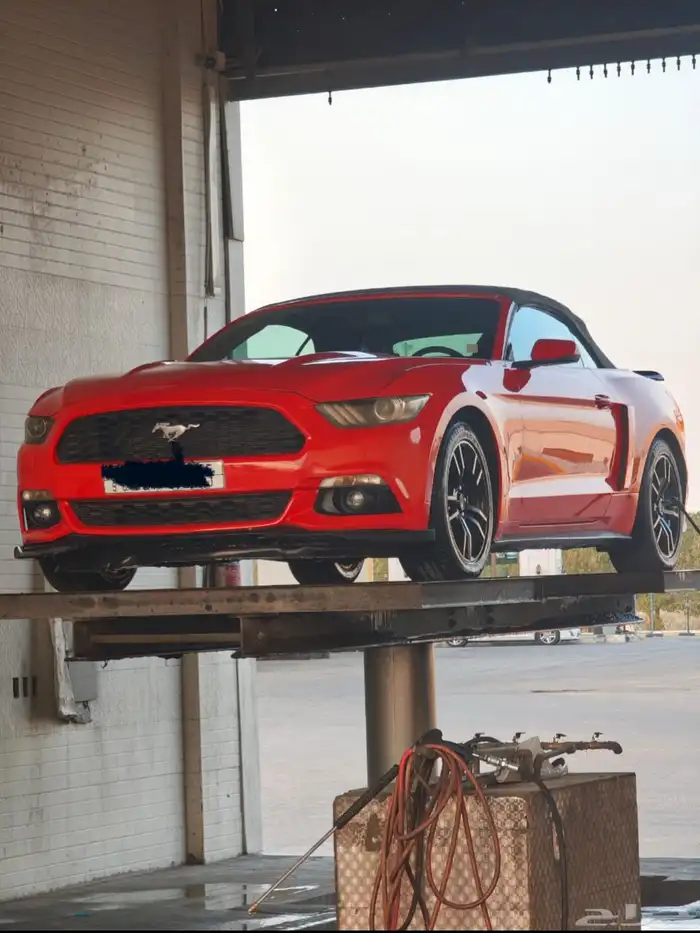 موستنق 2015 كشف - جاهز للموسم - منوة المستخدم 0