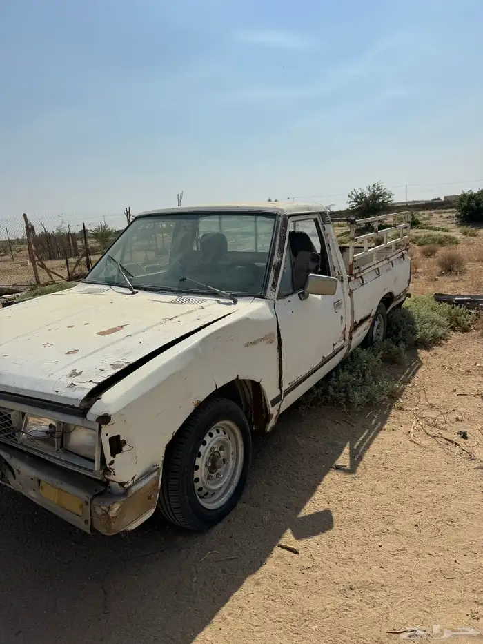 ددسن مزرعه وحلال 2