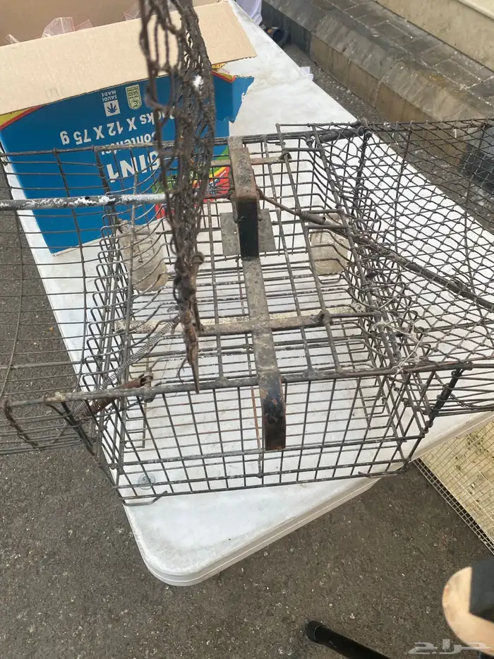 مصيده للطيور 0