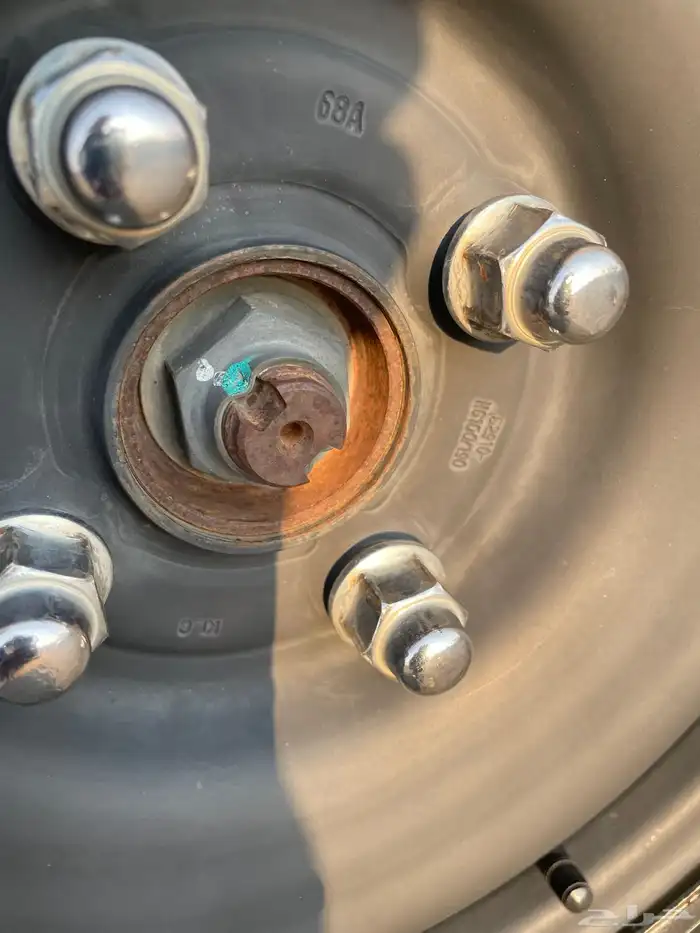 اكسنت 2019 وكالة شرط 41