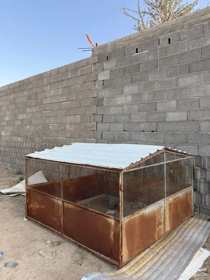 شبك بقلاوه 1