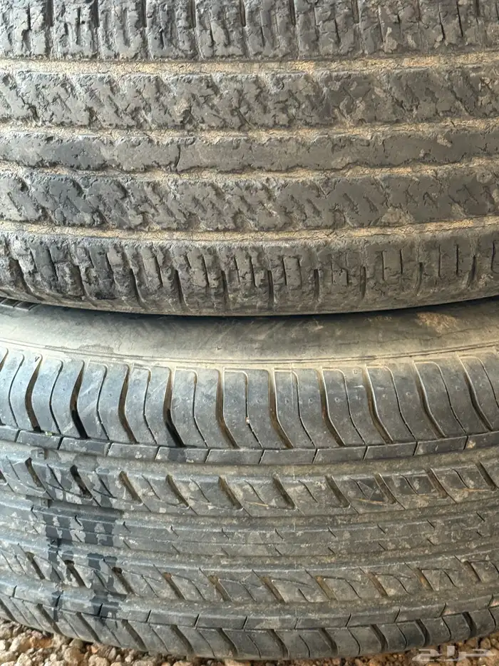 جنوط ددسن 2015 3