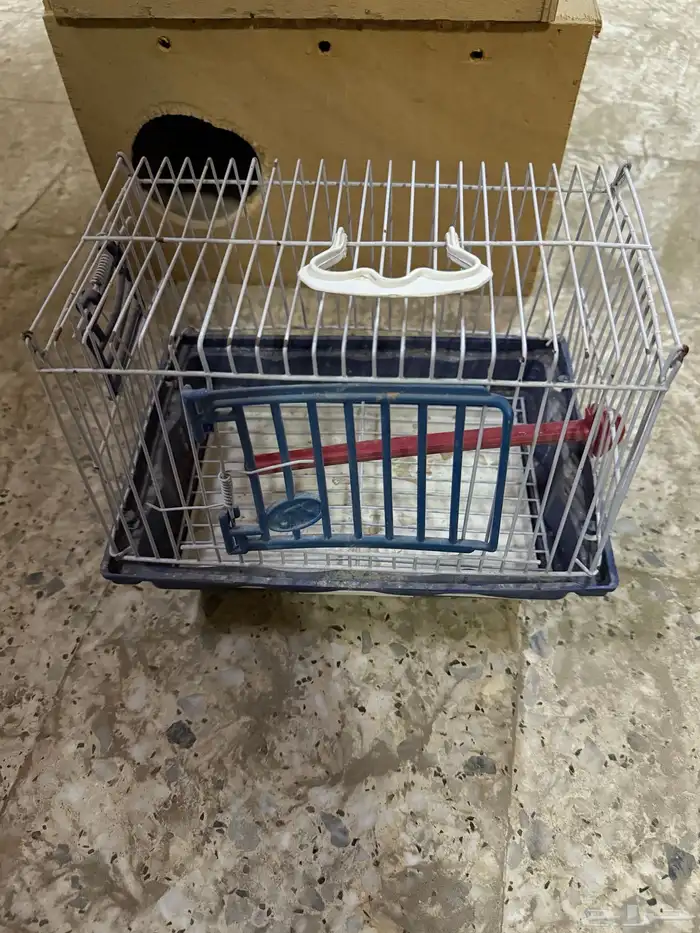 أغراض طيور زينه 2