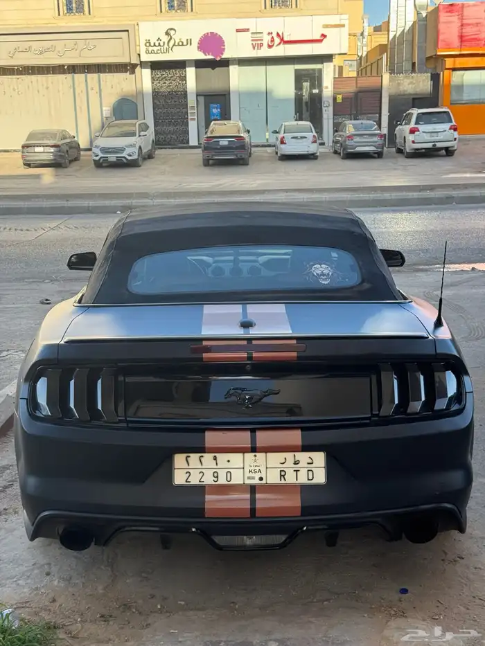 موستنج كشف 2017 9