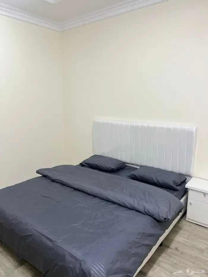 شقق عزاب للايجار الشهري 0